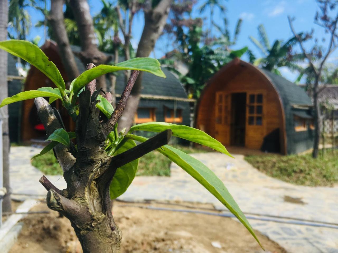 Apartamento Coco-Farm Hoi An Exterior foto